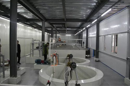 投資200多萬，竹溪首家藕粉加工廠帶動脫貧致富